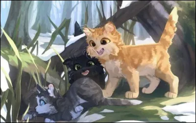 Quelle a été la première grosse bêtise de Feuille de Houx ?