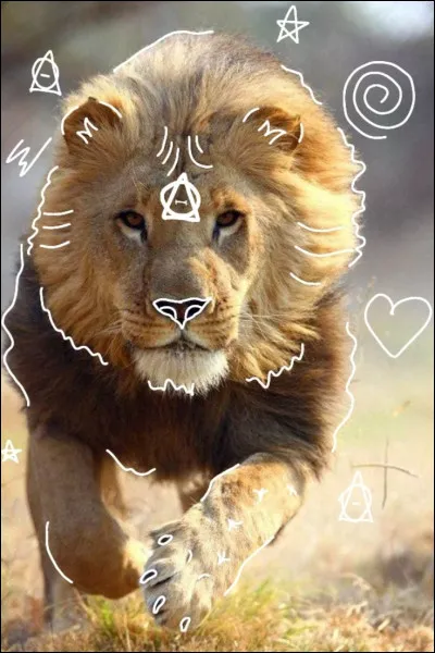 Peut-on avoir plusieurs thérioytpes ?