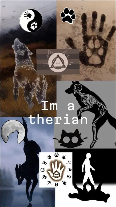 Quel âge ont les thérians ?