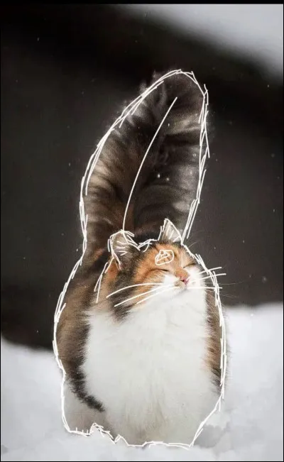 Est-ce que les thérians sont des animaux ?