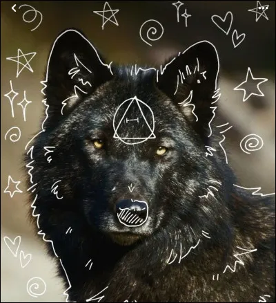 Un thériotype ou un kintype, qu'est-ce que c'est ?