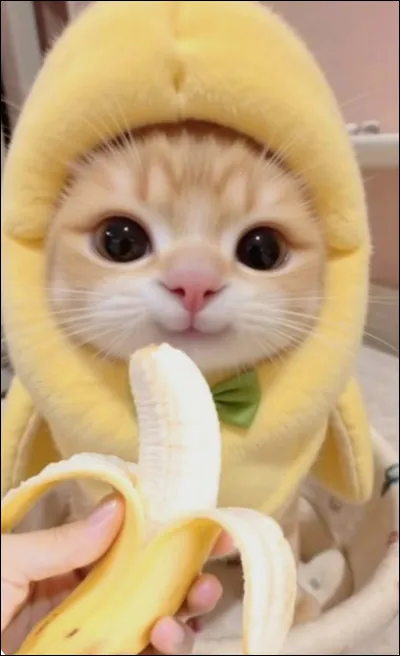 Plume dOie pouvait voir les morts .