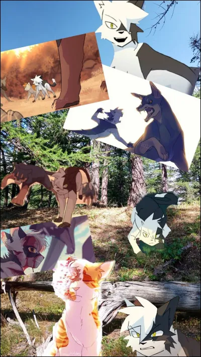 Cur Blanc aimait Nuage Agile .