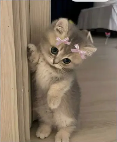 Fléau avait une compagne .