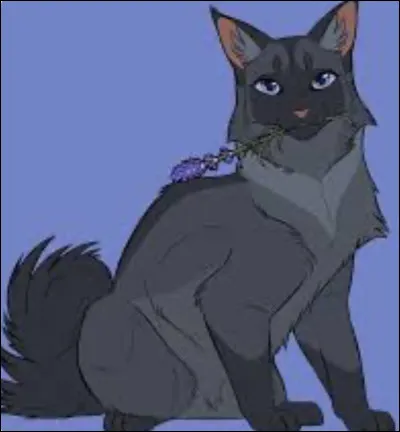 Museau Cendré a deux surs et un frère.