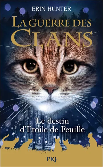 Étoile du Tigre est descendant du Clan du Ciel .