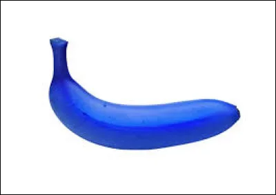 En géographie, que désigne la banane bleue ?