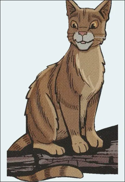 Patte Folle est le beau-frère dÉtoile Solitaire.