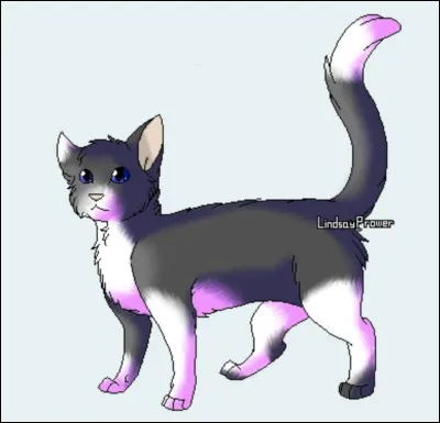 Touffe Grise est le frère de Queue de Lézard.