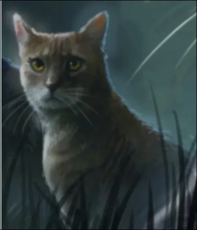 Harry des Sources est le compagnon dÉtoile de Feuille.