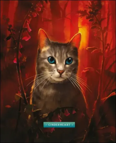 Combien Cur Cendré a-t-elle de belles surs / beaux-frères ?