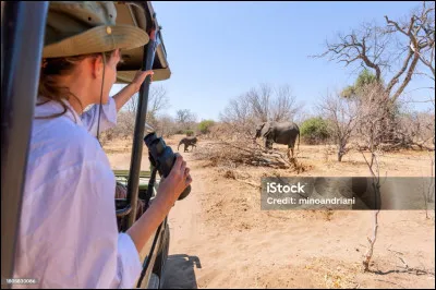 Au XIXe siècle, un conflit militaire oppose les Forces britannique à celles de ...