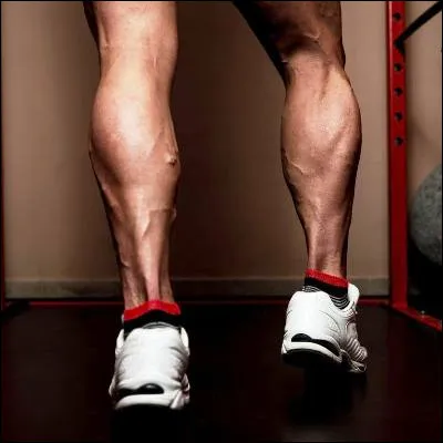 Quel ustensile de cuisine, que lon peut décrocher quand on remporte un succès, est devenu commun en Europe au XVe siècle, même si on a retrouvé des exemplaires antiques en Crète ?