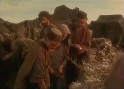 Dans le dsert, les hbreux murmurrent contre Dieu et Mose et se souvinrent des aliments d'Egypte. Que leur promit Dieu pour nourriture ?