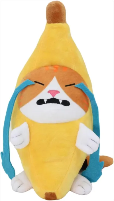 Tu ne vas pas bien, mais on te demande si ça va, que réponds-tu ?