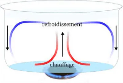 Quel mot désigne le phénomène par lequel la chaleur se déplace dans l'eau ?