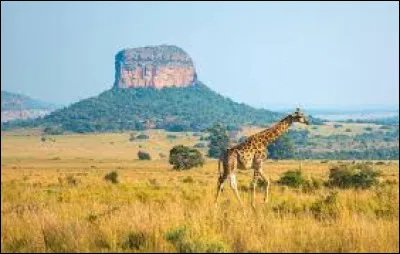Lequel de ces pays d'Afrique se situe dans l'hémisphère sud ?