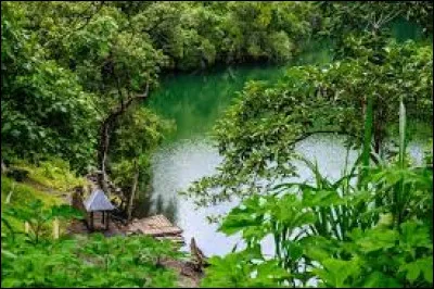 Avec quel pays le Cameroun partage t-il la plus longue frontière ?