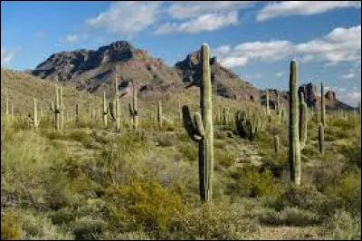 Sur quels pays s'étend le désert de Sonora (320 000 km2) ?