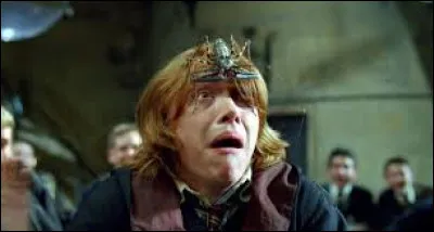 Si Ron Weasley ratait un sort, quelle serait ta réaction ?