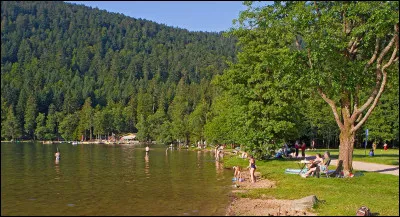 Quelle actrice est à l'affiche du long-métrage "Qu'elle était verte ma vallée" ?