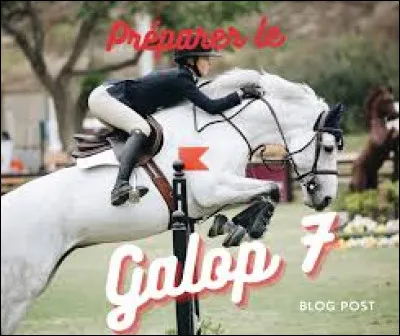 Quel Galop faut-il avoir pour aller en concours ?