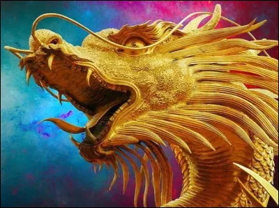 Quel animal extraordinaire voudrais-tu étudier ?