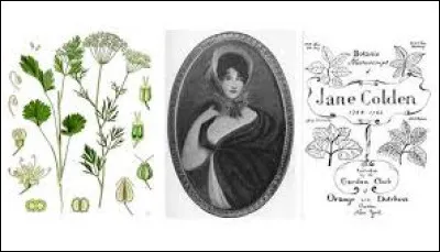 Jane Colden est la première femme botaniste aux États-Unis. Que répertorie-t-elle dans son manuscrit ?