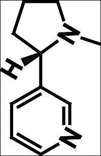 Les dernires tudes montrent que la nicotine, seule, ne rend pas le fumeur dpendant de la cigarette. Il faut aussi