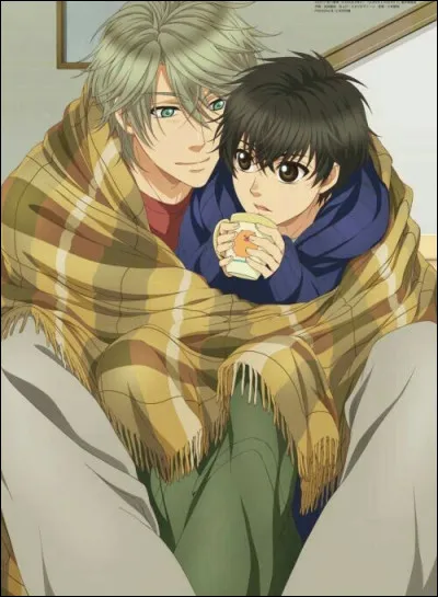 De quel anime fait partie ce couple ?