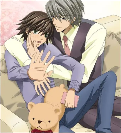 De quel anime fait partie ce couple ?