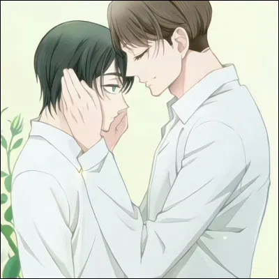 De quel anime fait partie ce couple ?