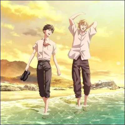 De quel anime fait partie ce couple ?