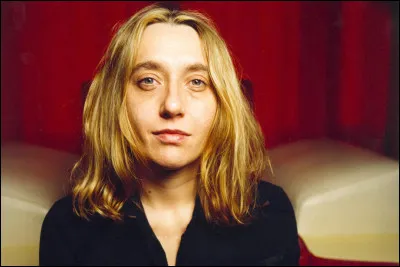 Qui est Virginie Despentes ?