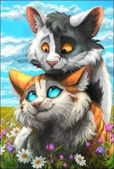 Ton compagnon, où l'as-tu rencontré ?