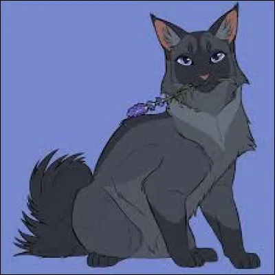 Comment veux-tu appeler tes chatons ?