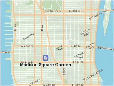 Quelle avenue traverse en diagonale le plan carré de cette ville ?