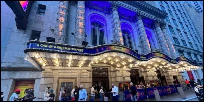 Quelle est la spécialité culturelle de cette avenue ?