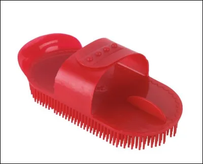 Comment s'appelle cette brosse ?
