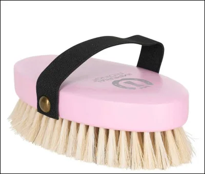 Combien y a-t-il de brosses pour le pansage ?