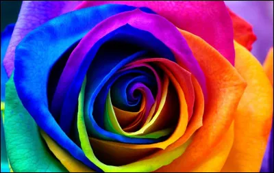 Quelle est ta couleur pr&eacute;f&eacute;r&eacute;e ?