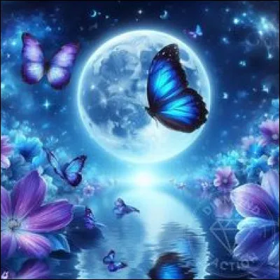 Enfin, en quoi as-tu le plus confiance ?