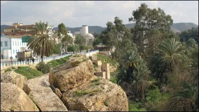 Dans quel pays la ville de Mascara est-elle située ?