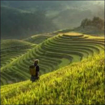 Quels pays d'Asie la cordillère Annamitique sépare-t-elle ?