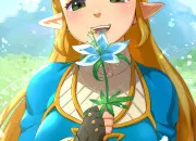 Quiz Zelda
