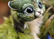 Test Ton animal magique