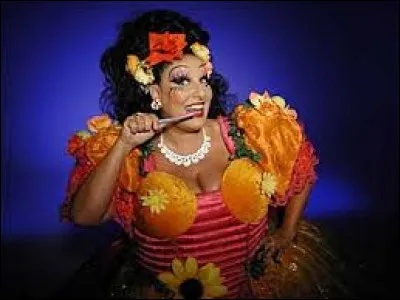 Quelle chanteuse et humoriste se cache sous les traits de la diva Ulrika Von Glott ?