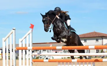 Quiz Galop 2