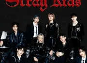 Quiz  qui appartiennent ces paroles ?