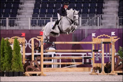 Quel est le nom de la discipline équestre qui consiste à sauter des obstacles ?